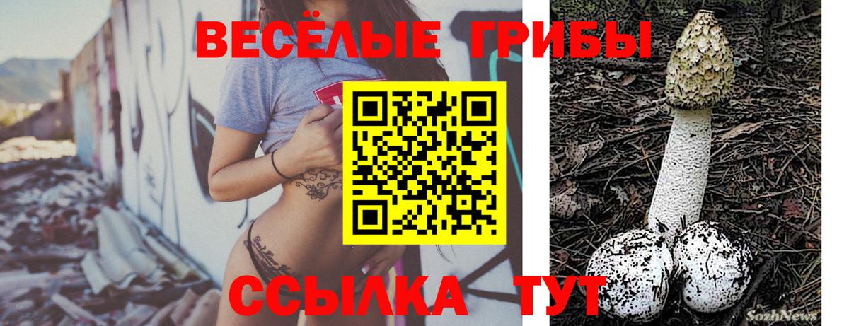 Галлюциногенные грибы мицелий Славгород